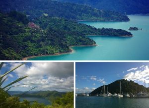 Queen Charlotte Track New Zealand