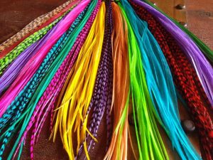 Feather Friends