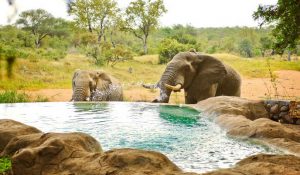Kruger National Park