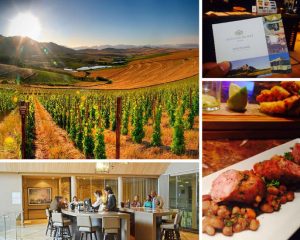 Anthonij Rupert wines