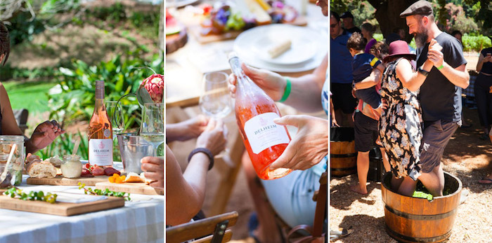 Delheim Harvest Festival