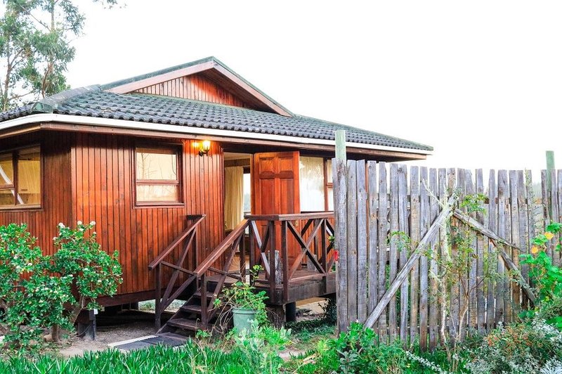 Lazy Leopard Forest Retreat