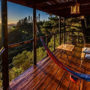 Lazy Leopard Forest Retreat
