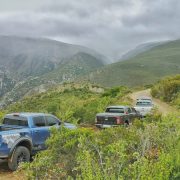 Ford Ranger 2020