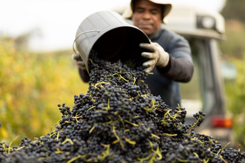 Quoin Rock Wine Estate.