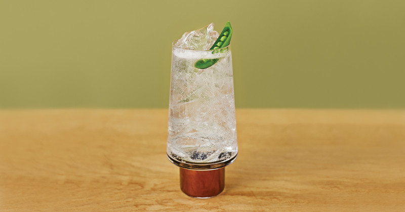 Seedlip Garden & Tonic