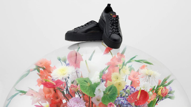 Dua Lipa Puma Flutur