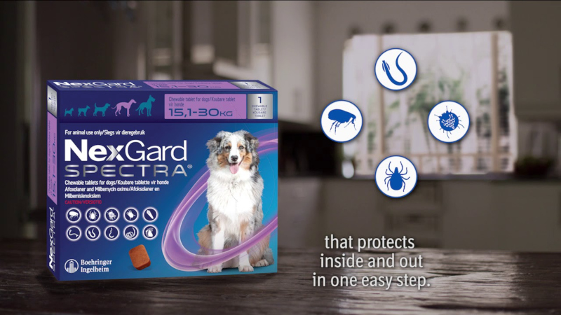 NexGard