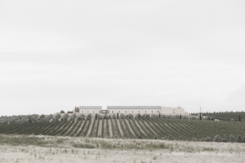 Gabriëlskloof wine farm