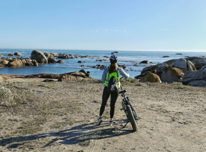 Wow eBikes Paternoster