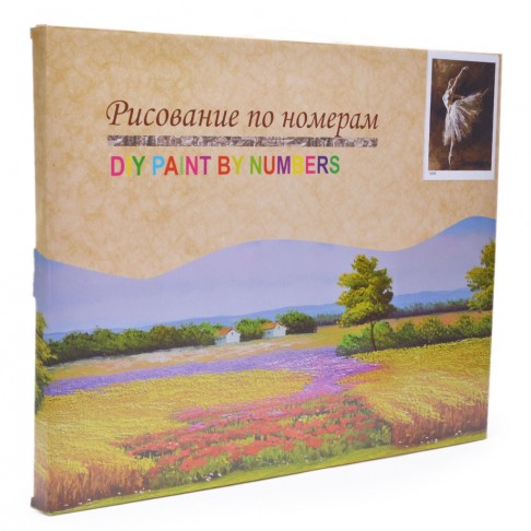 DIY Paint By Numbers