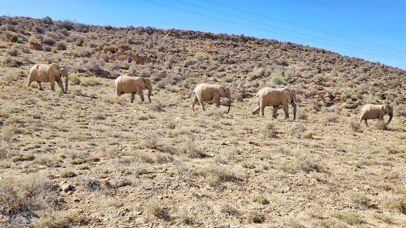 Sanbona Wildlife Reserve