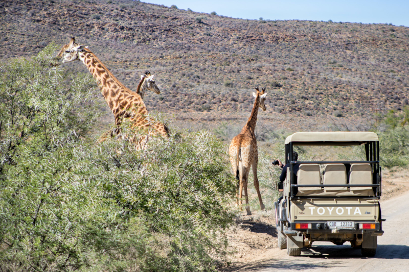 Sanbona Wildlife Reserve