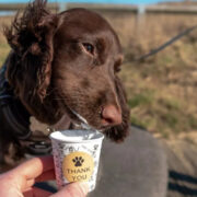 Puppuccino