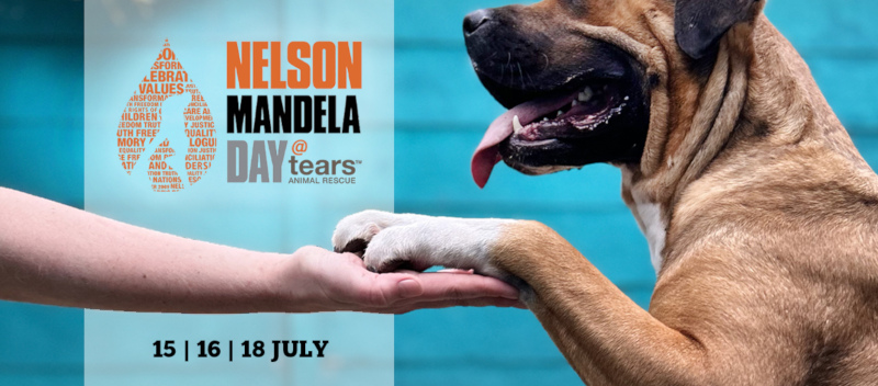 TEARS Mandela Day