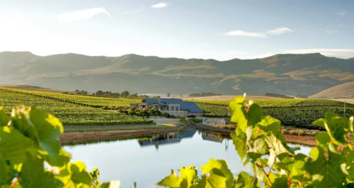 Hermanus