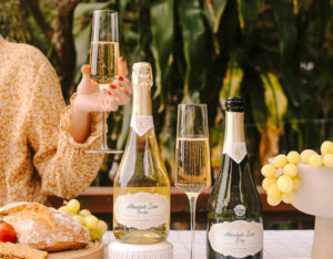 Van Loveren Absolute Zero Nectar