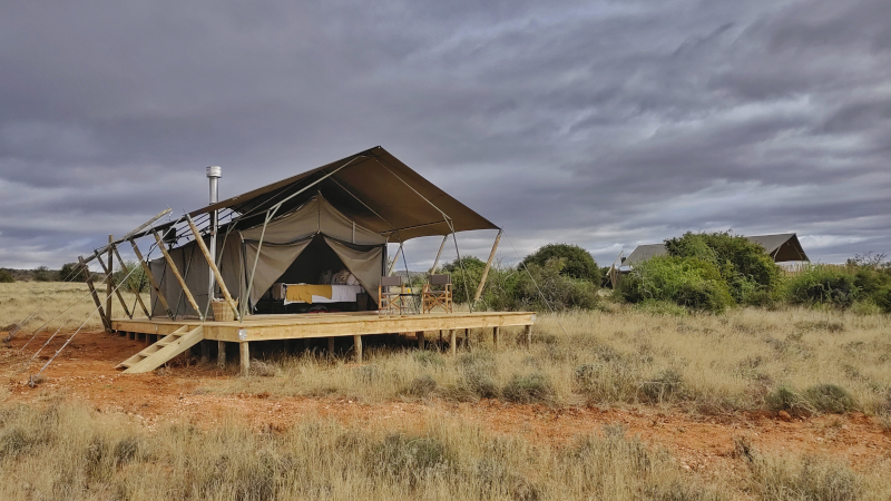 Samara Karoo Reserve Plains Camp