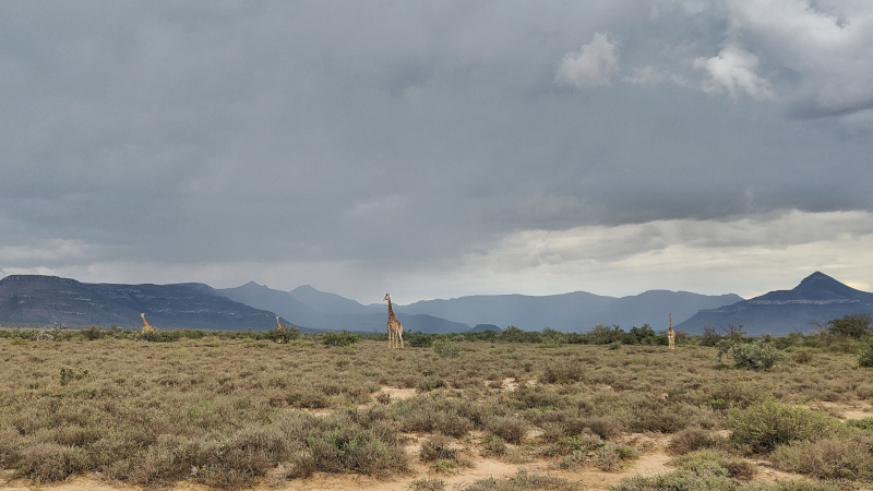 Samara Karoo Reserve 