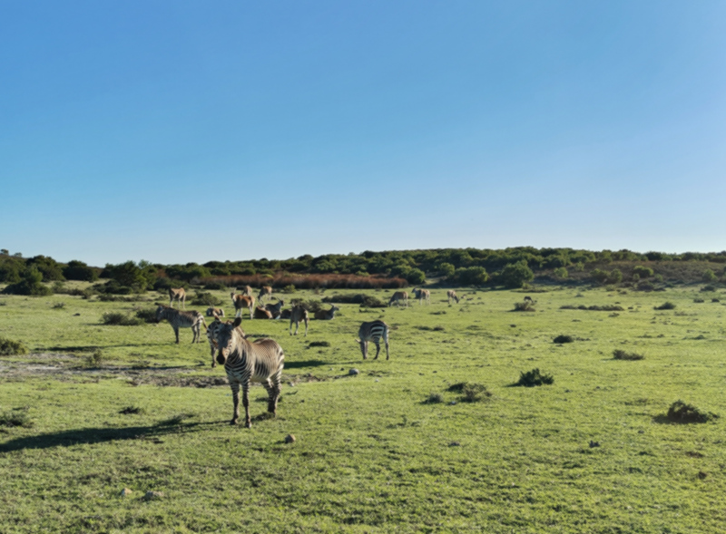 De Hoop Collection Opstal Suites