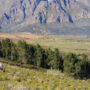 Olive Valley Walks Paarl
