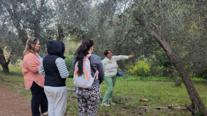  Olive Valley Walks Paarl