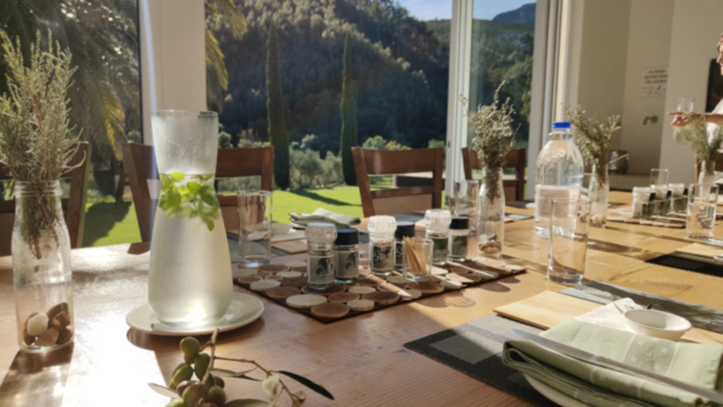  Olive Valley Walks Paarl