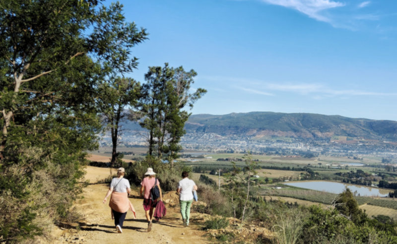  Olive Valley Walks Paarl