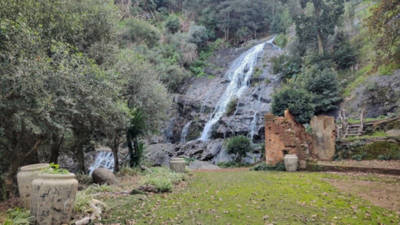 Olive Valley Walks Paarl