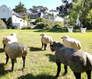 Wildekrans Country House