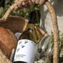 Organic Wine by Sophie Germanier
