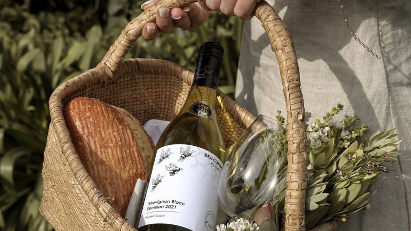 Organic Wine by Sophie Germanier