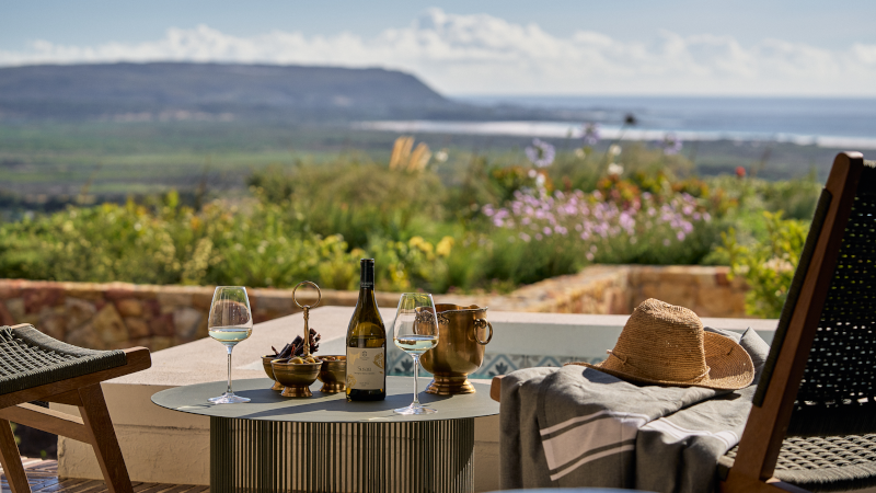 Alexander Vineyards