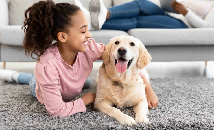 Pet health dog