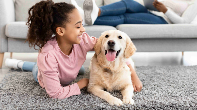 Pet health dog