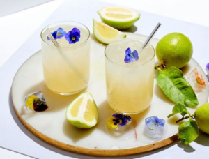 Good Gut Water Kefir