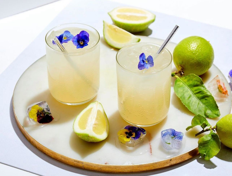 Good Gut Water Kefir