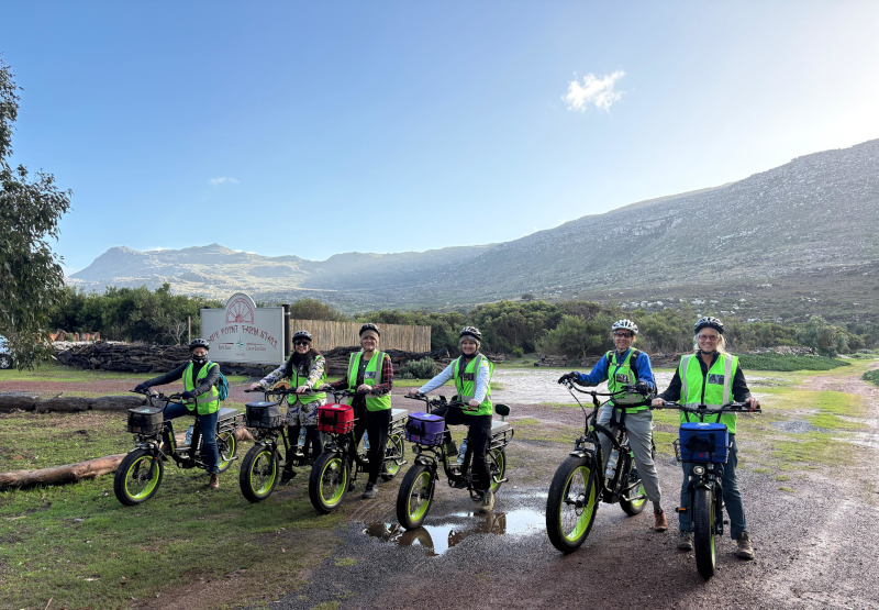 Cape Point E-Bike Tours