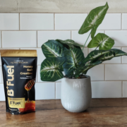 B+Fuel